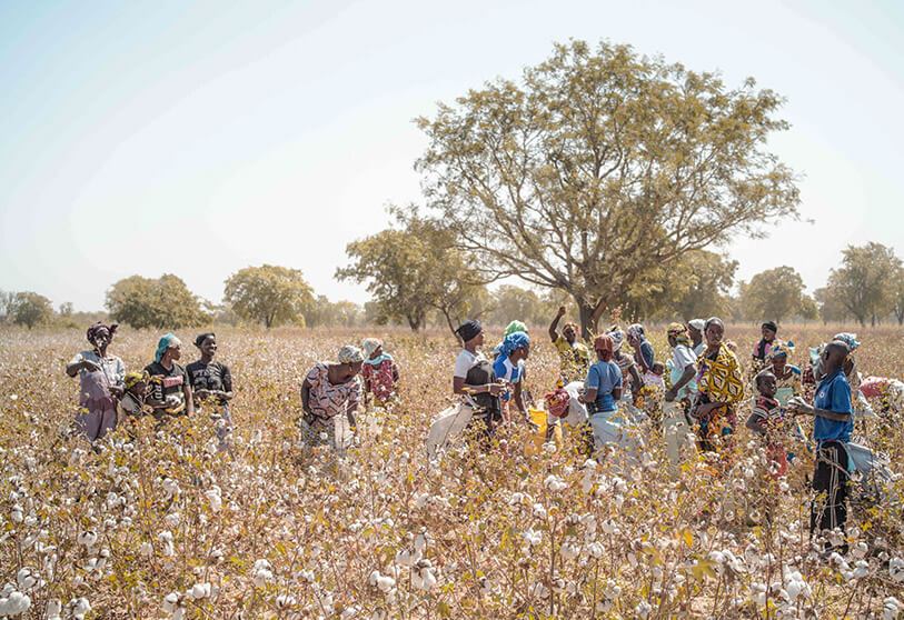economía-mujeres-africa