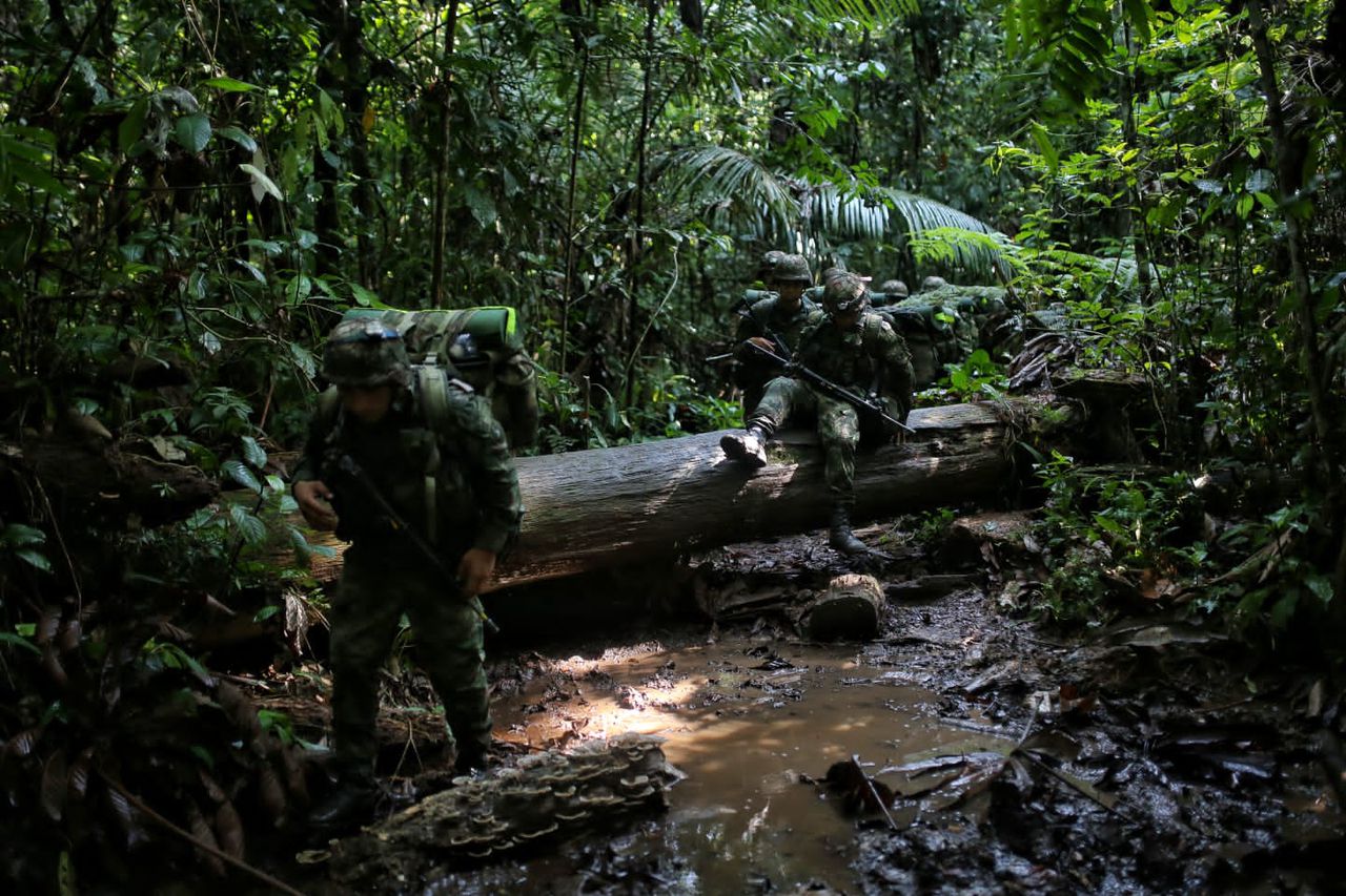 Curso de lanza de la selva amazónica