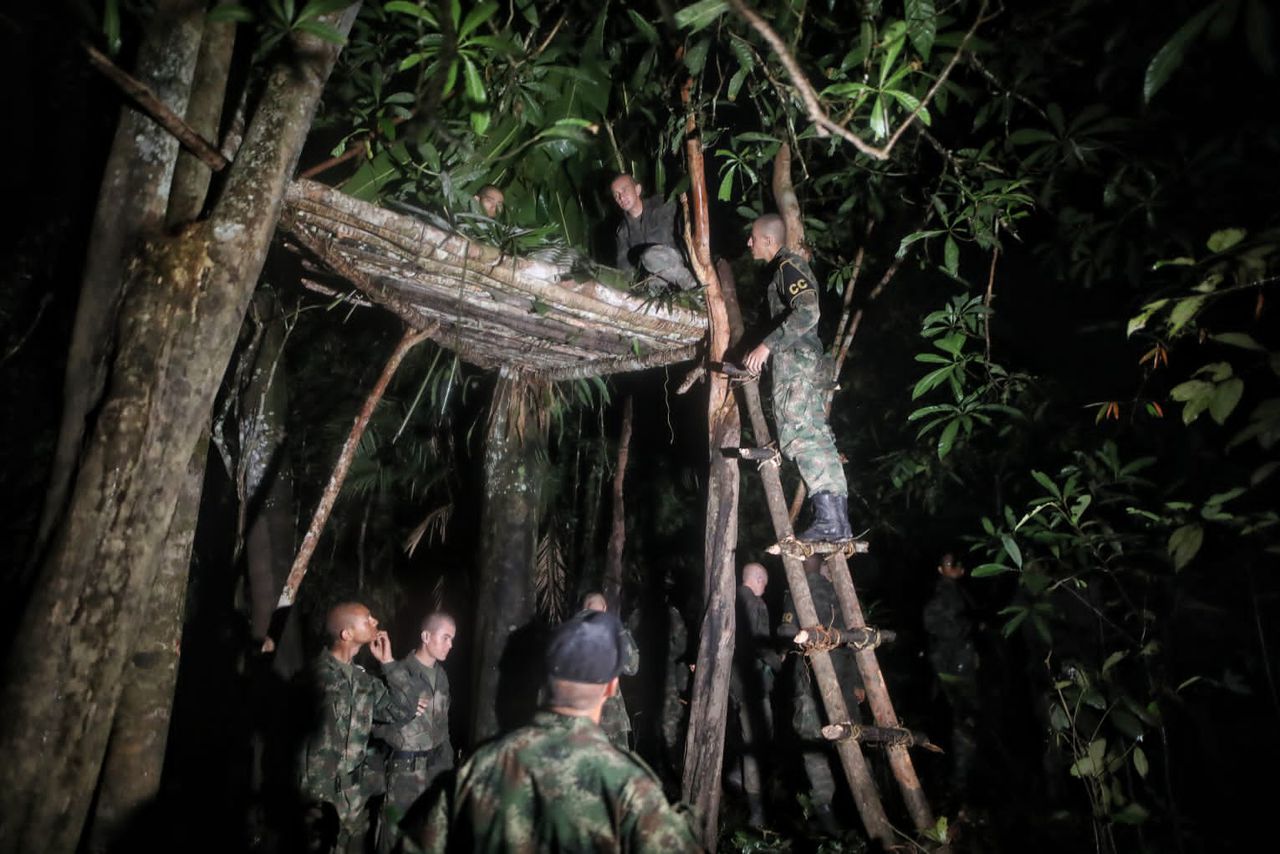 Curso de lanza de la selva amazónica